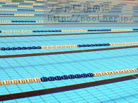 ���j�v�[��