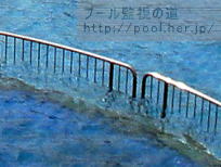 �v�[�����̍�ʐ^